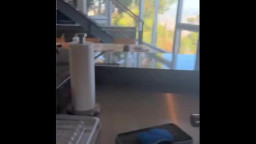 Trippie Bri - Bestie Caught Me Fucking Her Boyfriend