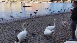 Katy Rose - Valley Of Swans Double Pussy Paradise First DVP 04 04 2025