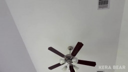 Kera Bear - Fantasy Girl From My Dreams