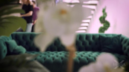 Gracey Snow - Coming Home 30 07 2026