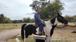 Tiffany Leiddi - Road Trip Vol.2